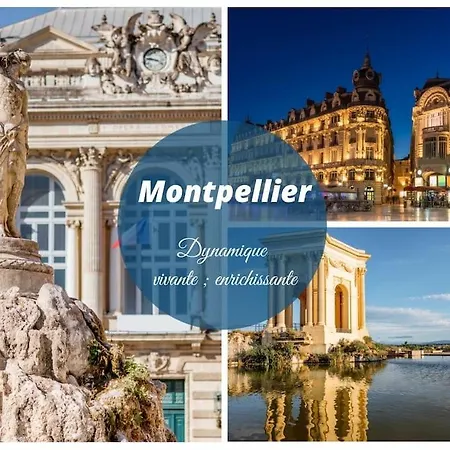 Apartment Surf & Yoga * Cosy * Vue Sur Le Port * Proche Montpellier Carnon-Plage